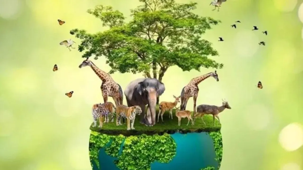 wildlife environment animals eco friendly