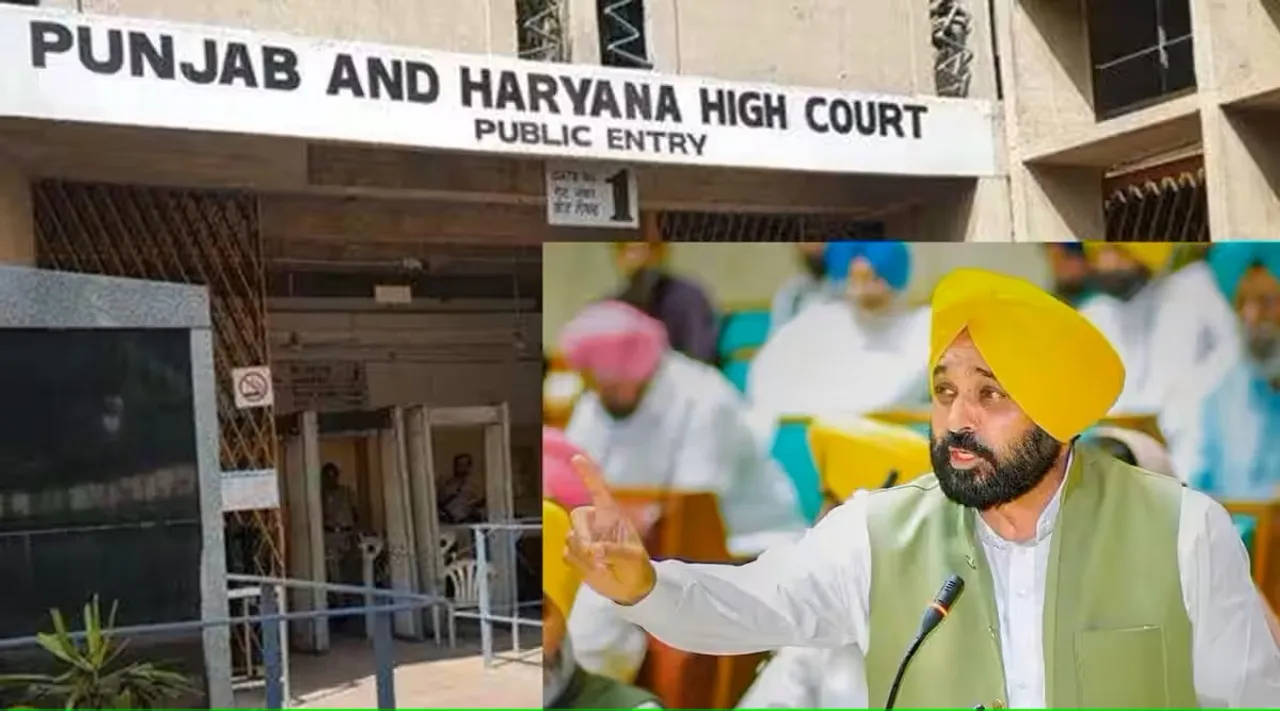 Bhagwant Mann Punjab and Haryana High Court