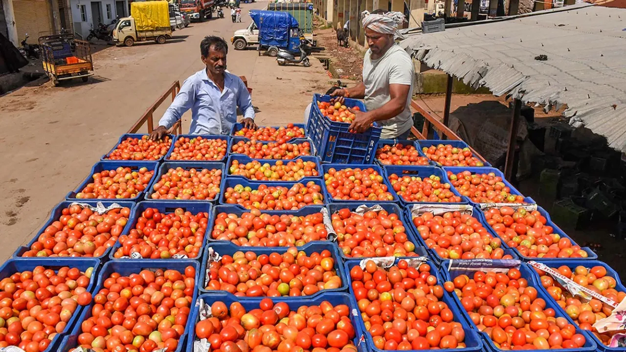 tomatoes imported from Nepal