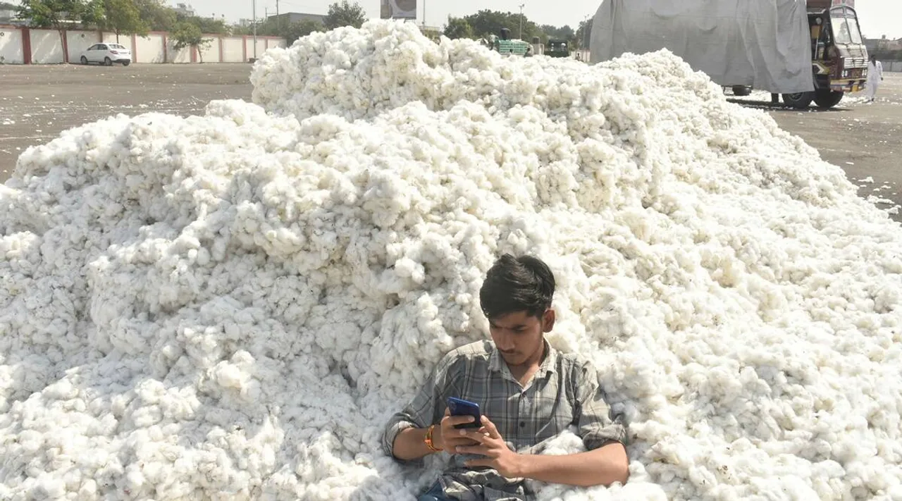 Cotton Farmer Agriculture Crop
