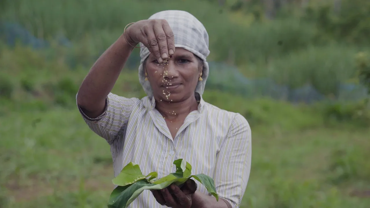 Lenovo provides tech support to revive six varieties of indigenous millets in Kerala's Kanthalloor