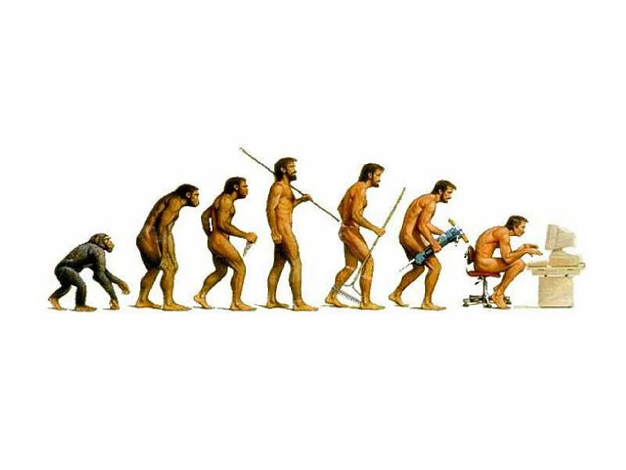Human Evolution Population