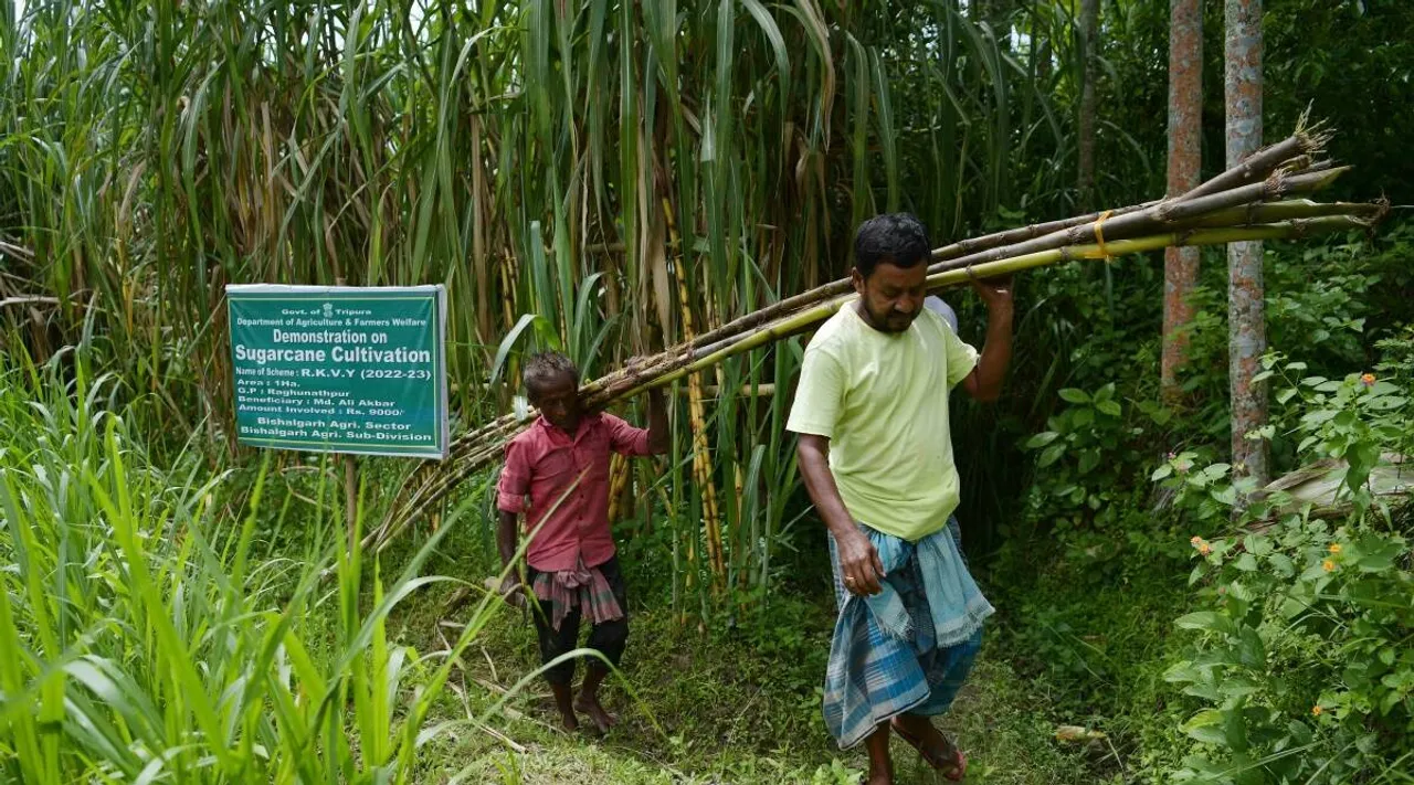Govt hikes sugarcane prices