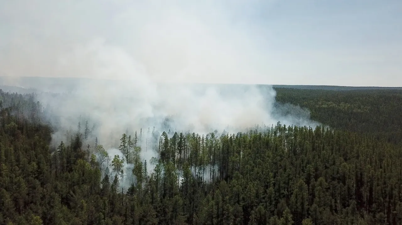 ‘Zombie fires’ are occurring more frequently in boreal forests