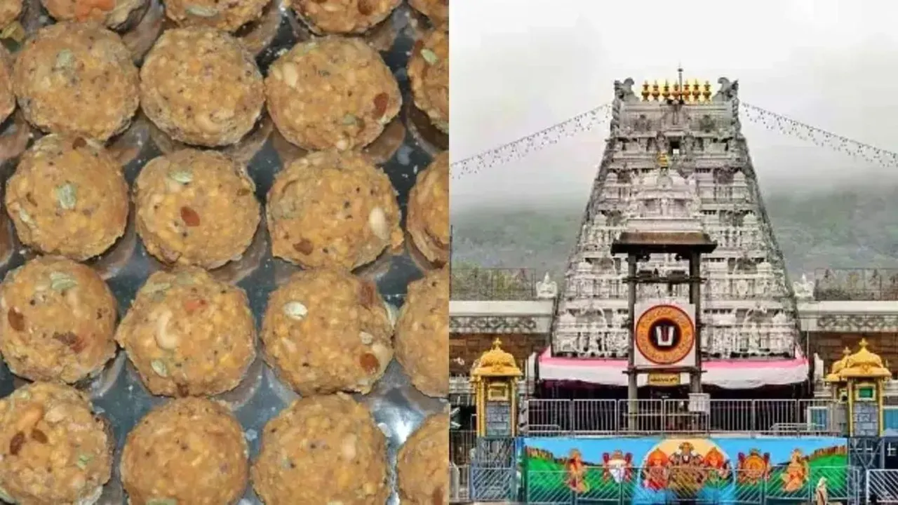 tirupati laddu controversy