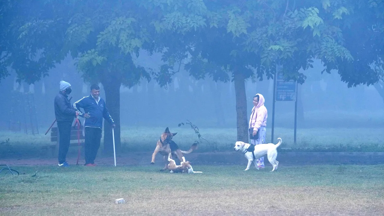 Visitors at a park amid fog on a cold winter morning, in New Delhi