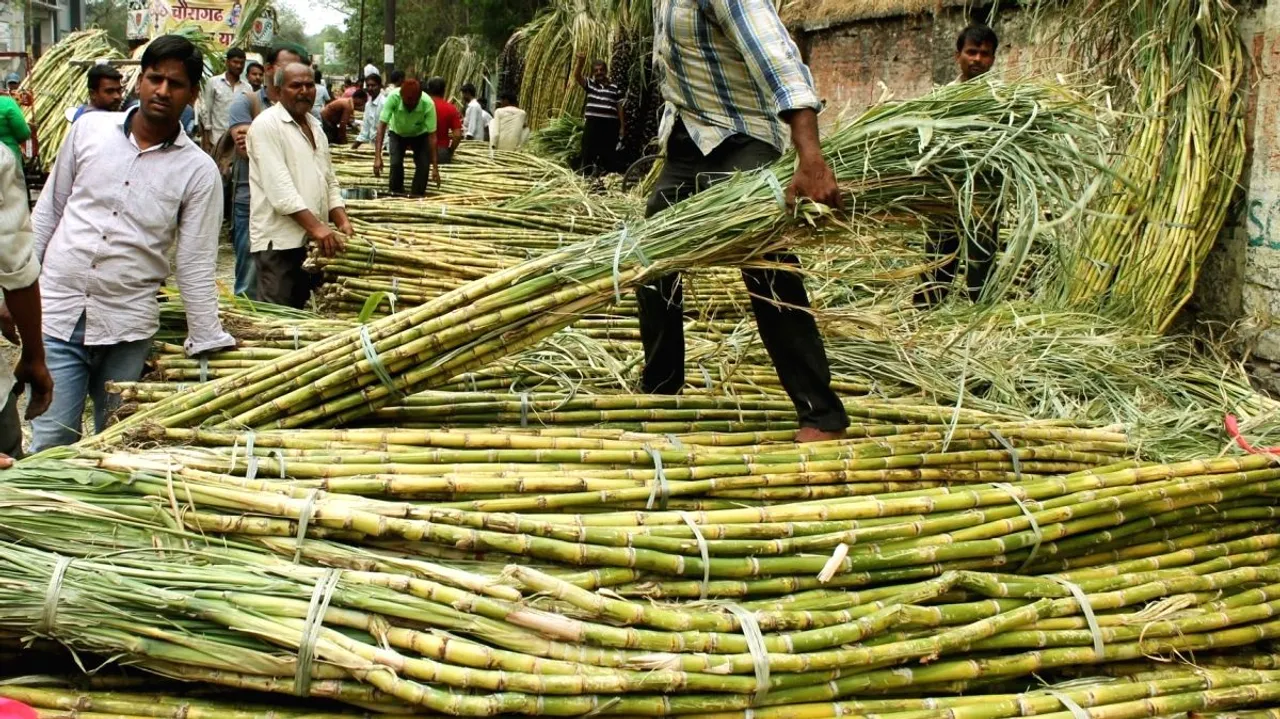 Govt's sugar policies ensured stable retail prices, timely payment to farmers: Official