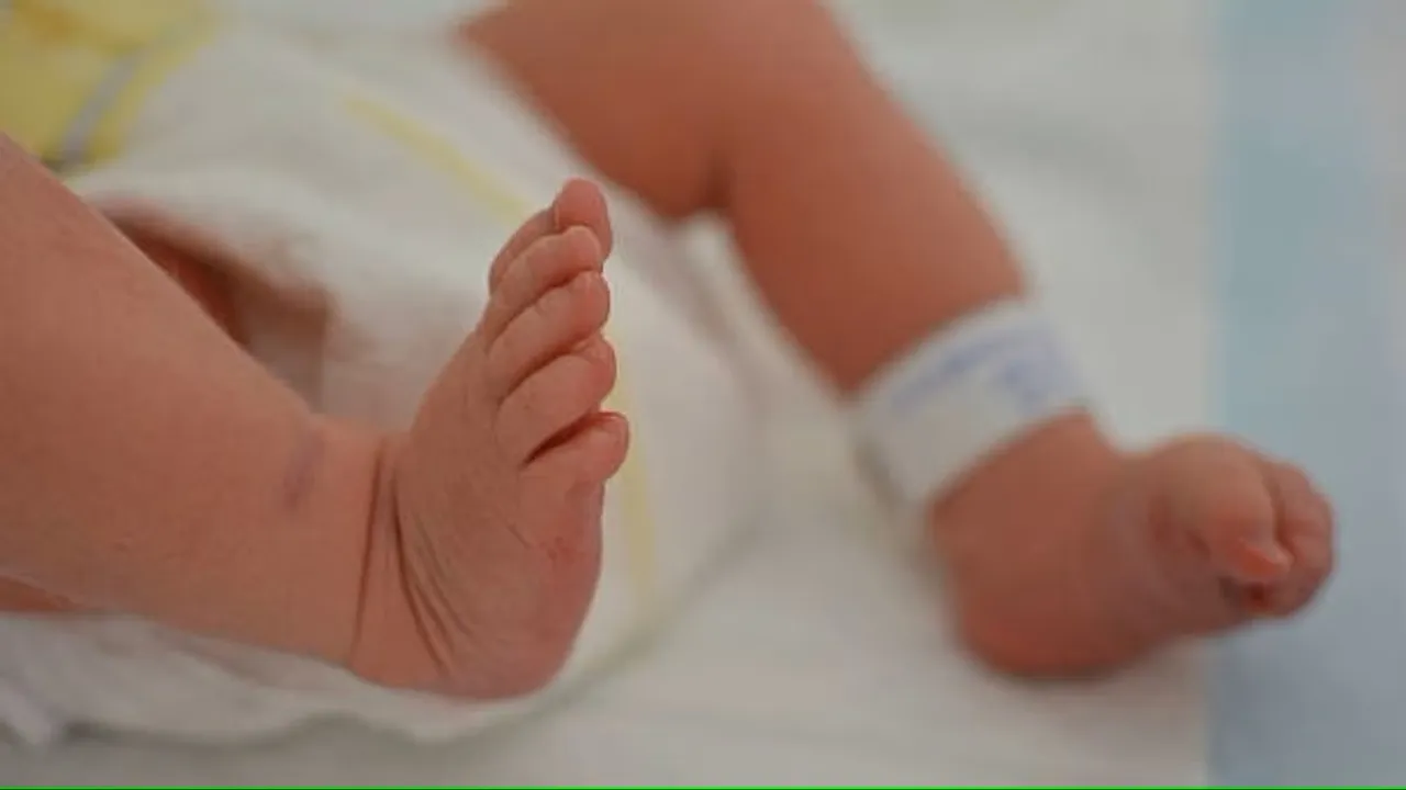 Pregnancy Child birth Infant Mortality Newborn delivery