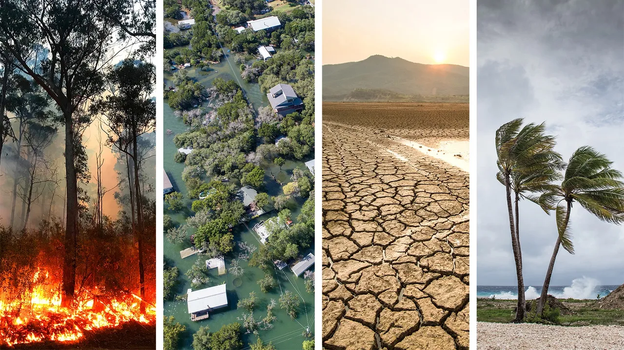 Forest Fire, floods, Drought and tsunami