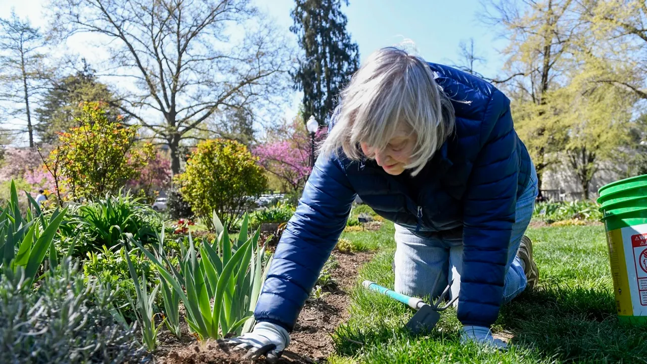 Short bouts of activity like chores can reduce heart attack, premature death risks: Lancet Study