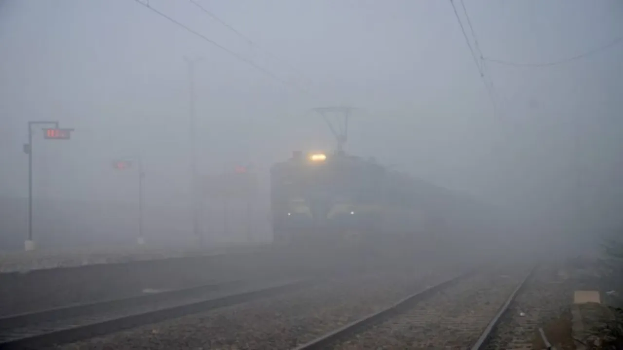 Fog blankets Punjab and Haryana again; cold weather conditions continue