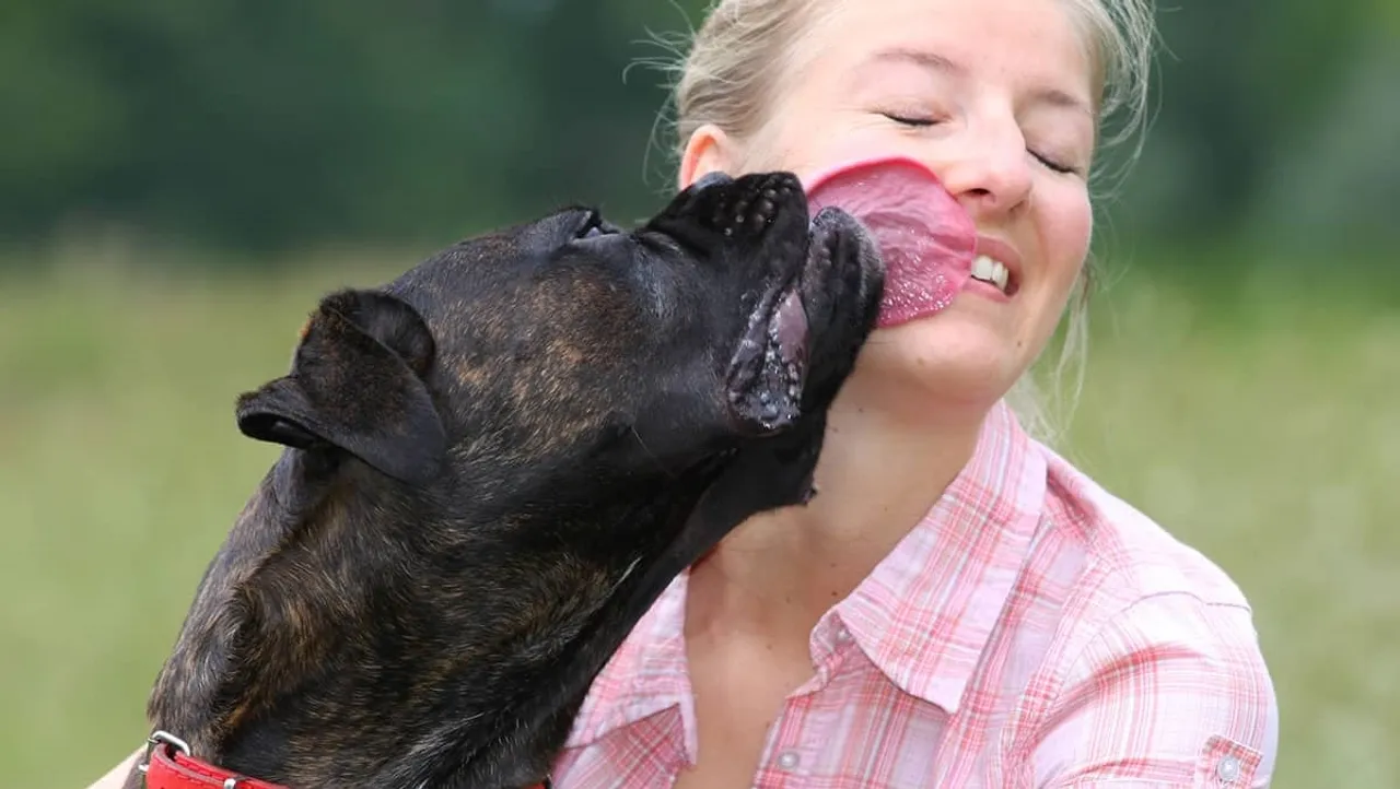 Many owners allow their dogs to lick their faces, but it could be unhealthy – and even fatal