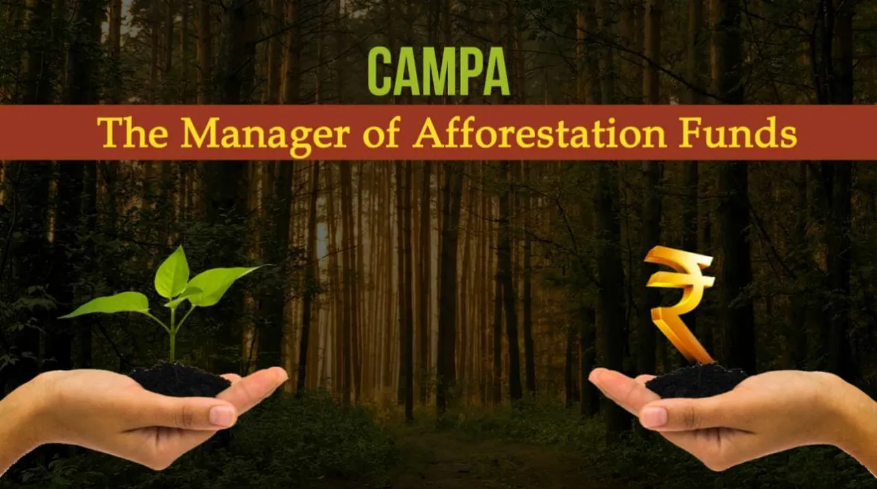 Arunachal undertakes afforestation in 16,560 hectares of land under CAMPA during 2022-23: Minister