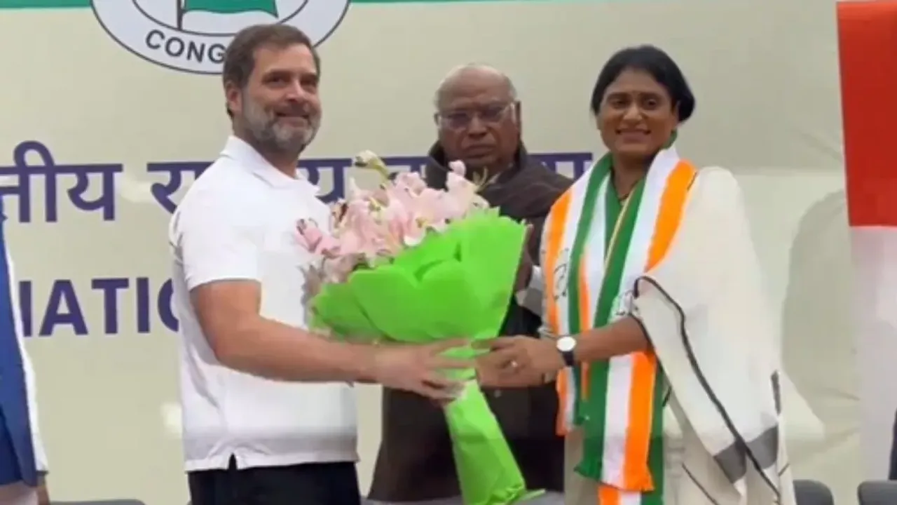 Y S Sharmila joins Congress Rahul Gandhi