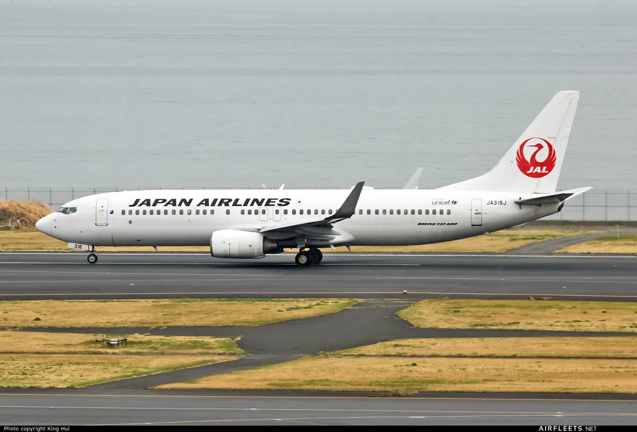Japan-Airlines_JA318J