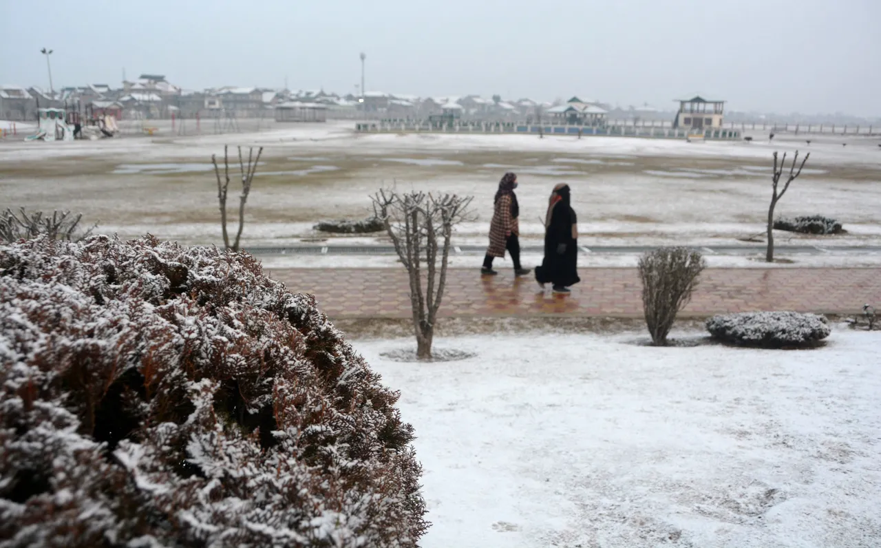 Snowfall in Srinagar Weather Jammu Kashmir