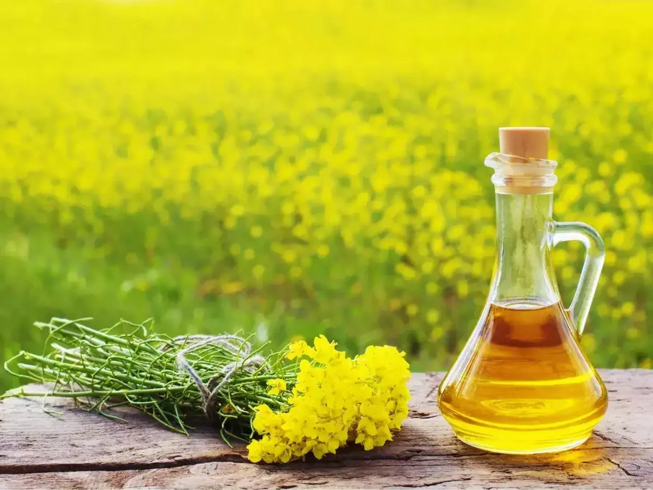 Himachal govt to give mustard oil at Rs 110 per litre under public distribution system