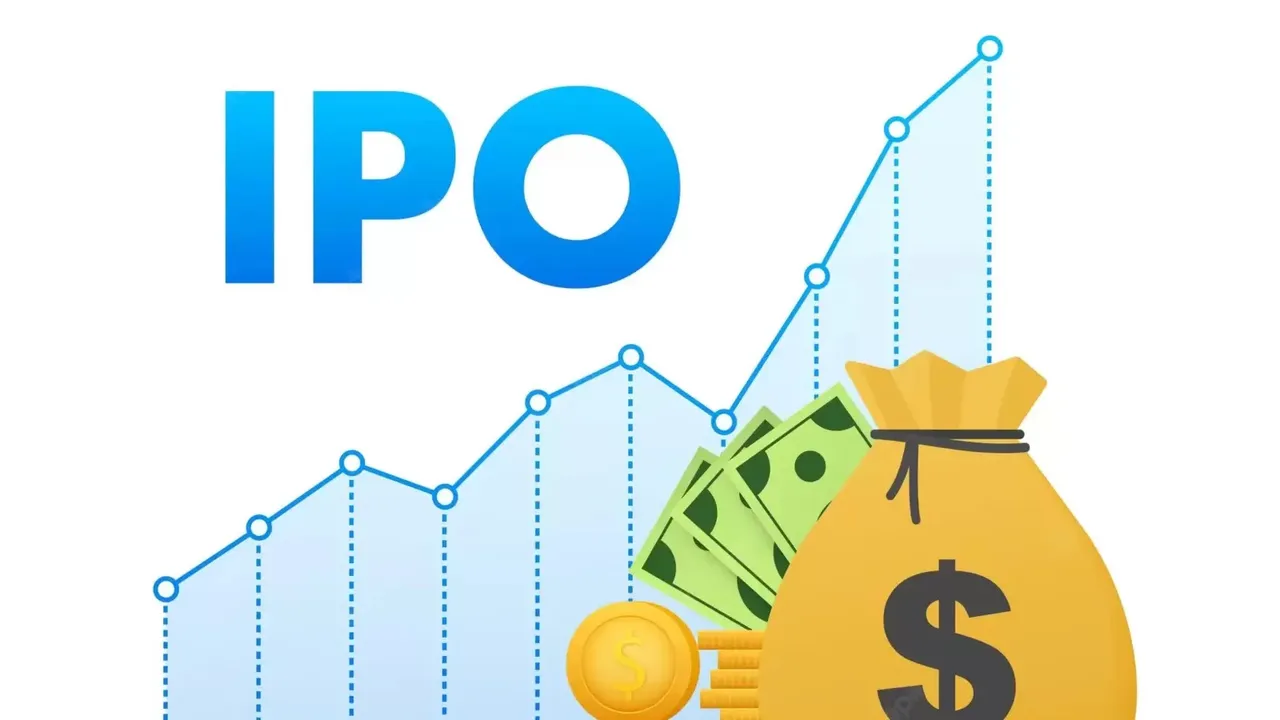 IPO Initial Public Offering