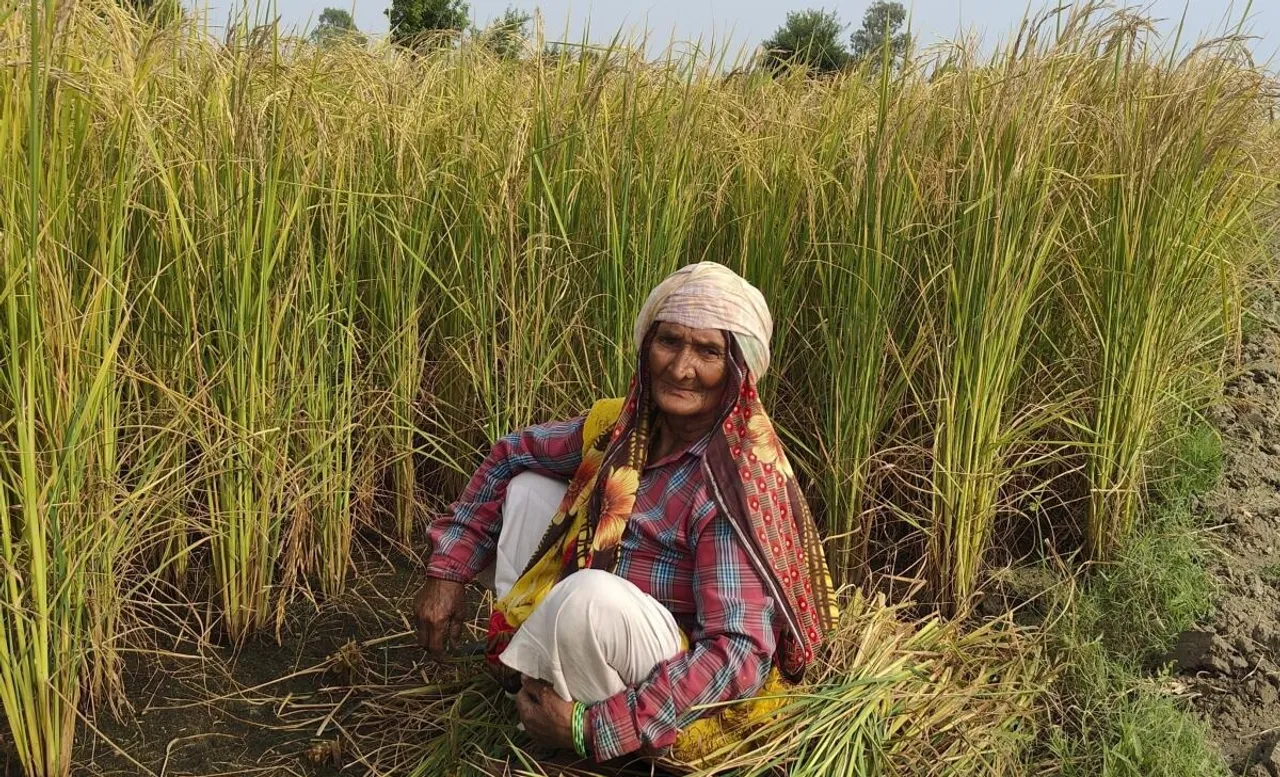 climate change women health farmer.jpg