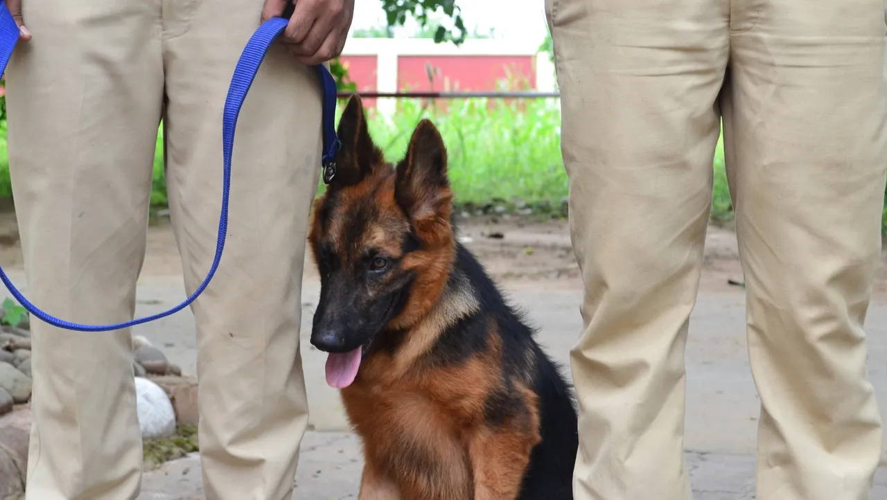 Trained to pounce at anything 'khaki': Cops face resistance from dogs during drug raid in Kerala