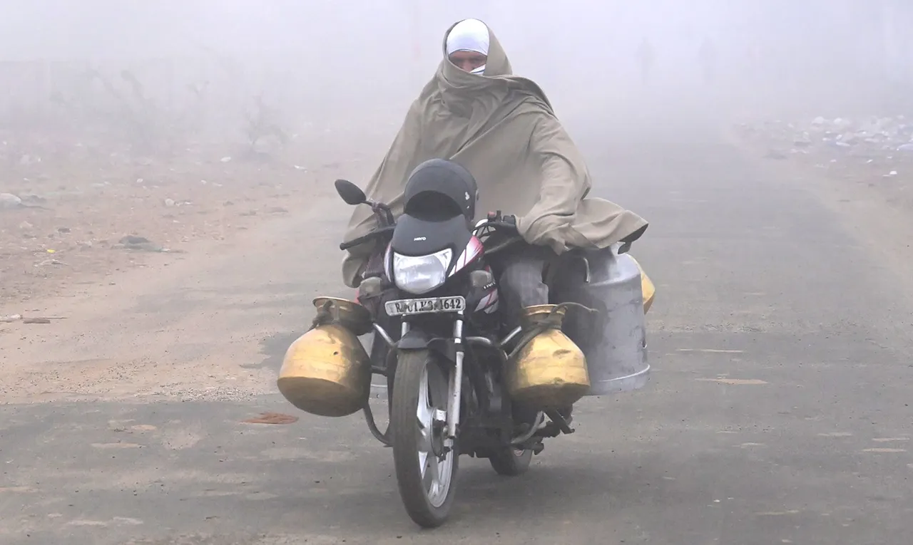 Fog in haryana and punjab