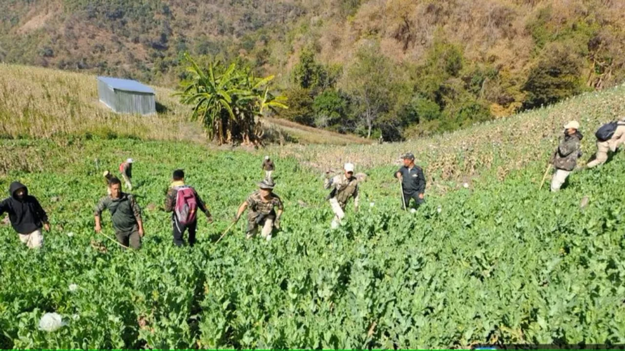 poppy cultivation in Manipur