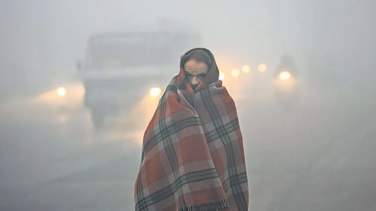 Slight respite from intense cold in Rajasthan, Alwa