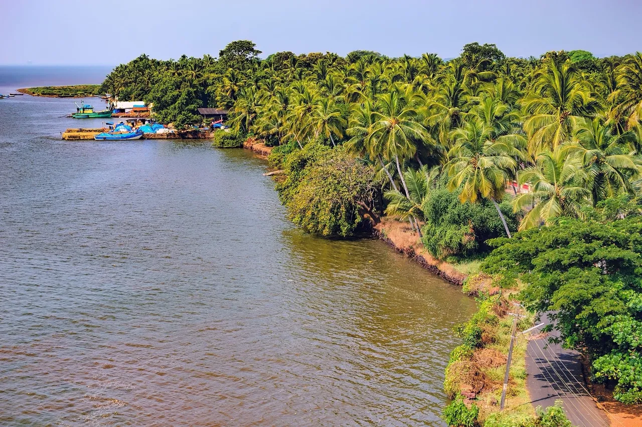 Goa govt's reluctance to declare state's forests as tiger reserve 'nail in the coffin' for Mhadei river: Outfit