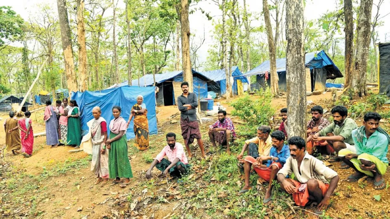 About 80 tribal families, who migrated from the woods to the forest fringes of Panthapra a year ago, have been living in thatched huts covered with tarpaulin sheets.
