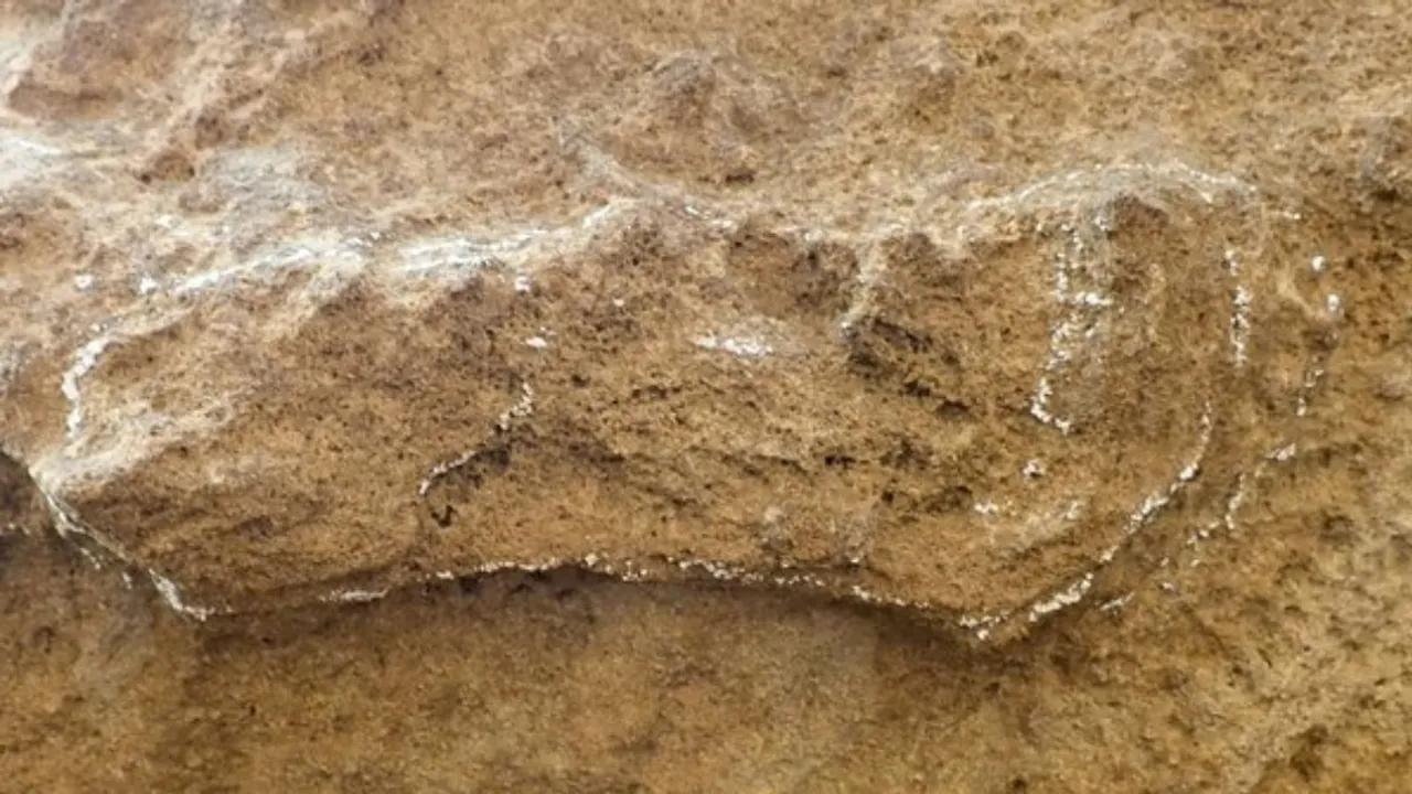 Oldest Homo sapiens Footprint.jpg