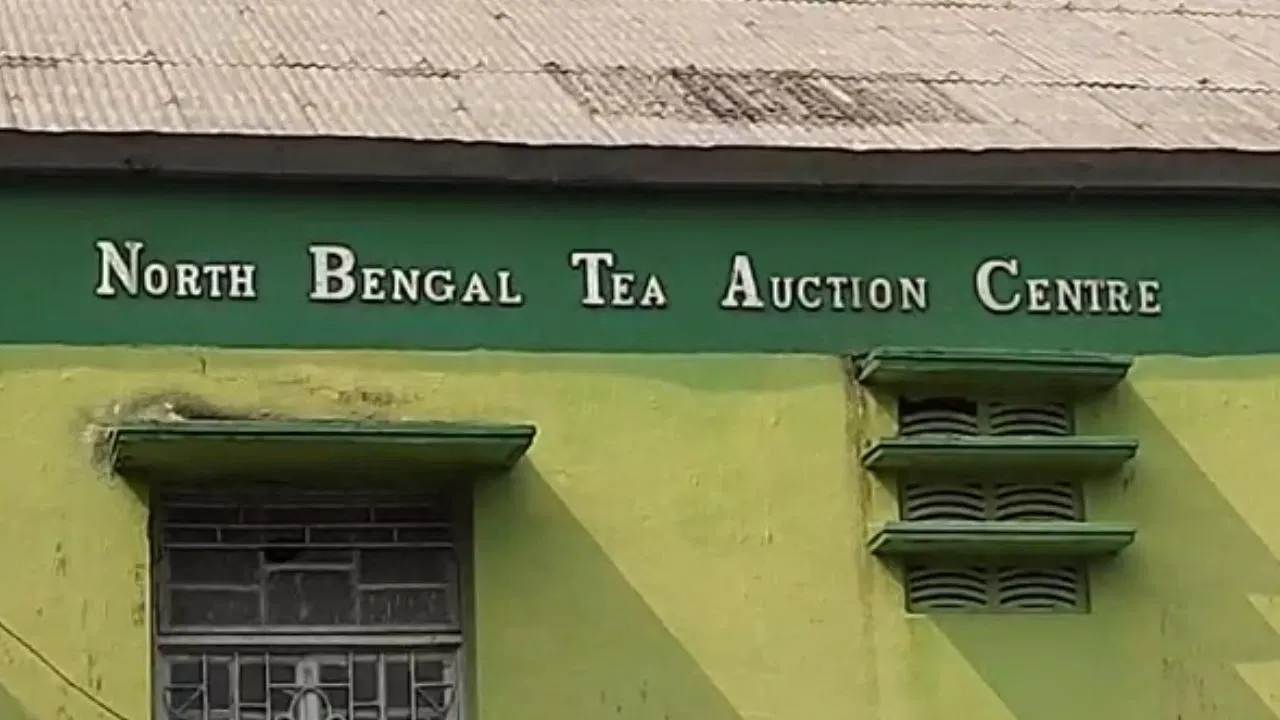 Calcutta tea auction