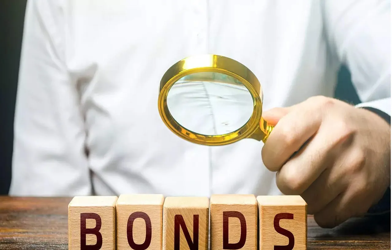 Could long-term bonds contribute stability and increased income to your investment portfolio?