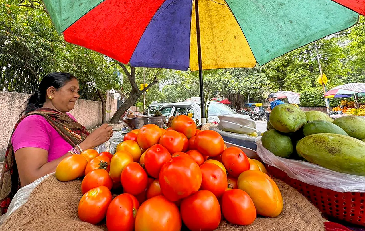 Tomato price vegetable sale in Delhi