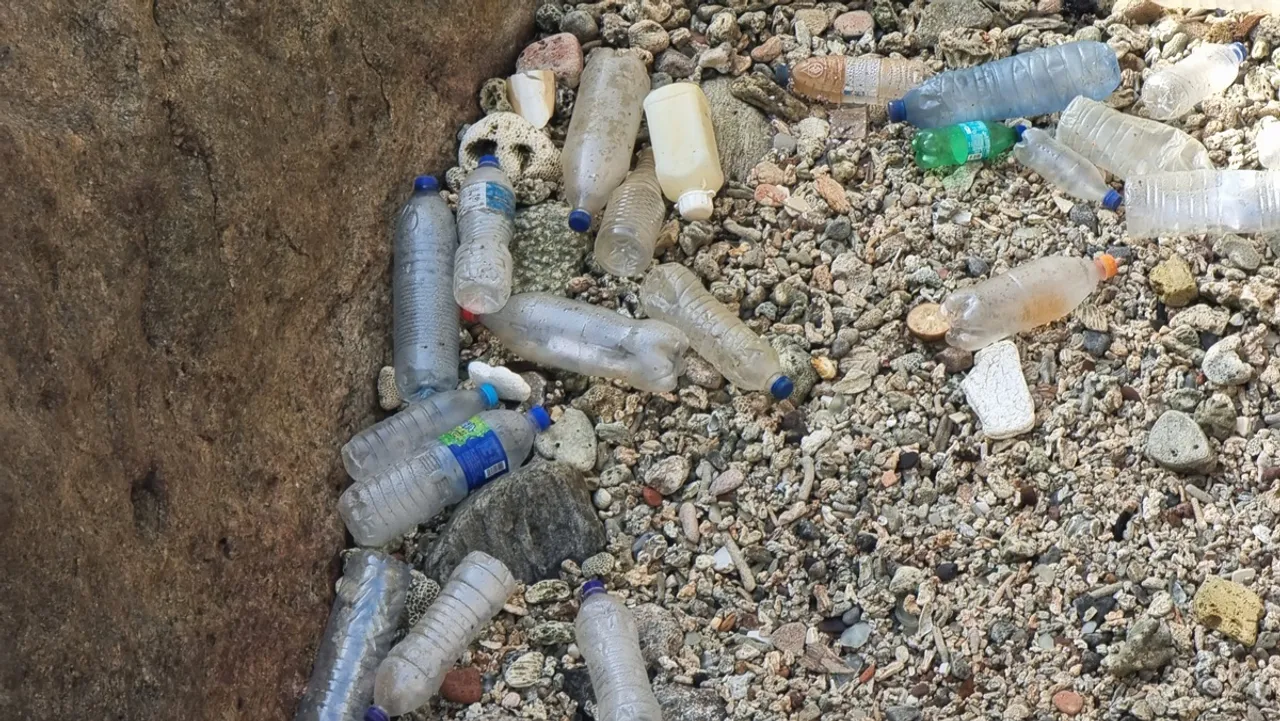 Plastic bottles.jpg