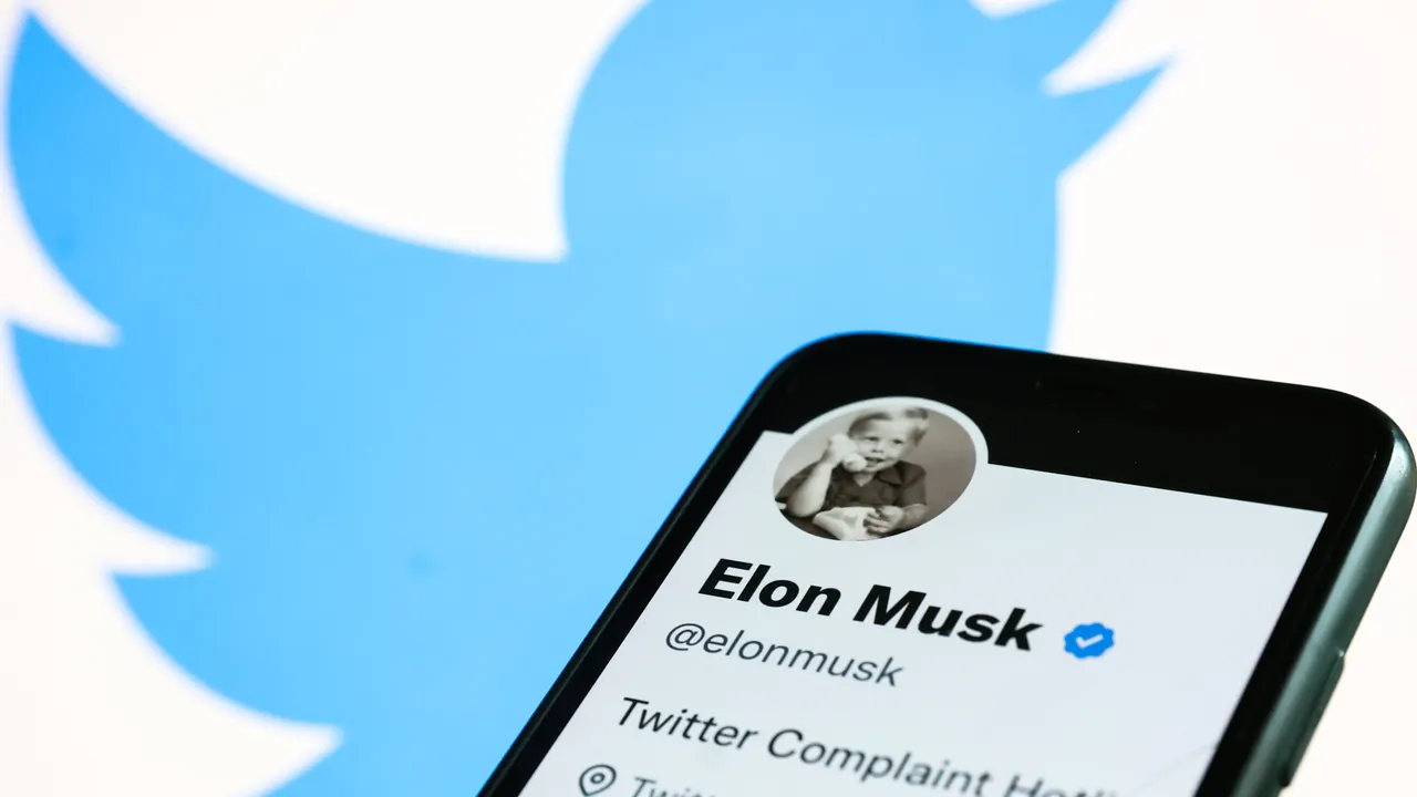 Holding off relaunch of Twitter's Blue Verified: Elon Musk