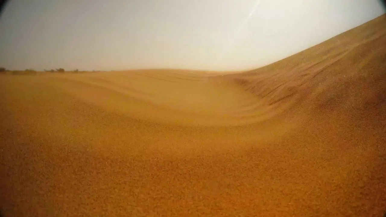 Thar Desert.jpg