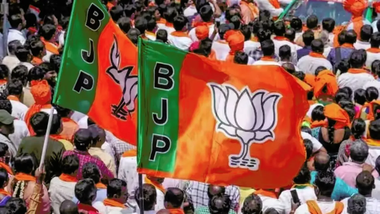 BJP Flag BJP Party image