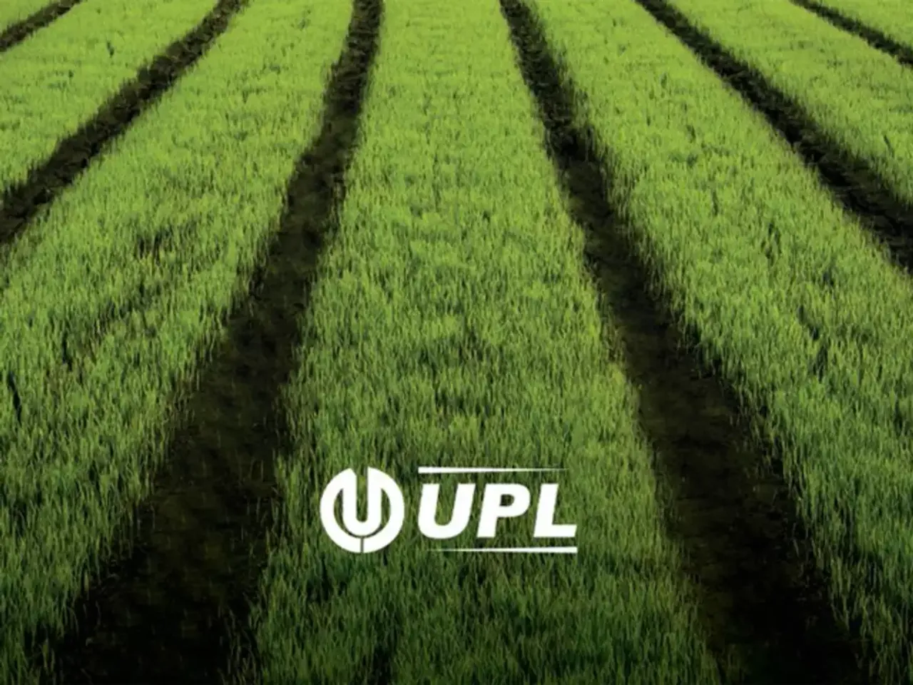 UPL Q4 net profit falls 43% to Rs 792 crore
