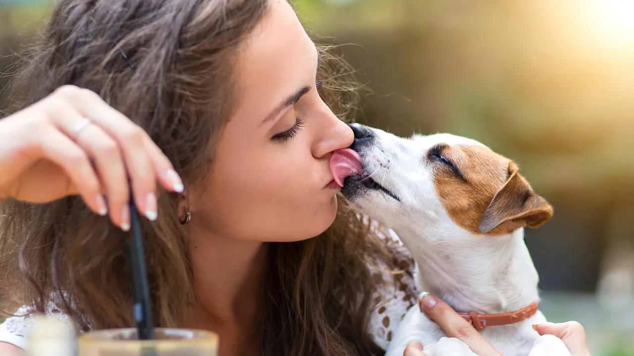 Is it okay to kiss your pet? The risk of animal-borne diseases is small, but real