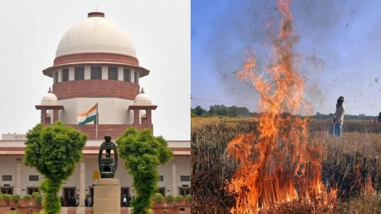 Stop stubble-burning forthwith, can't let people die due to pollution: SC