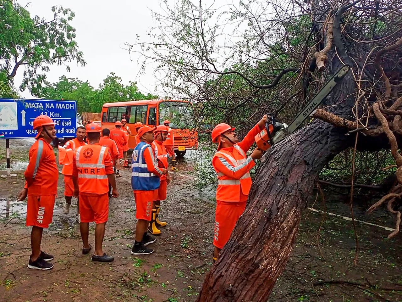 NDRF personnel clear trees uprooted following the landfall of Cyclone Biparjoy, in Gujarat
