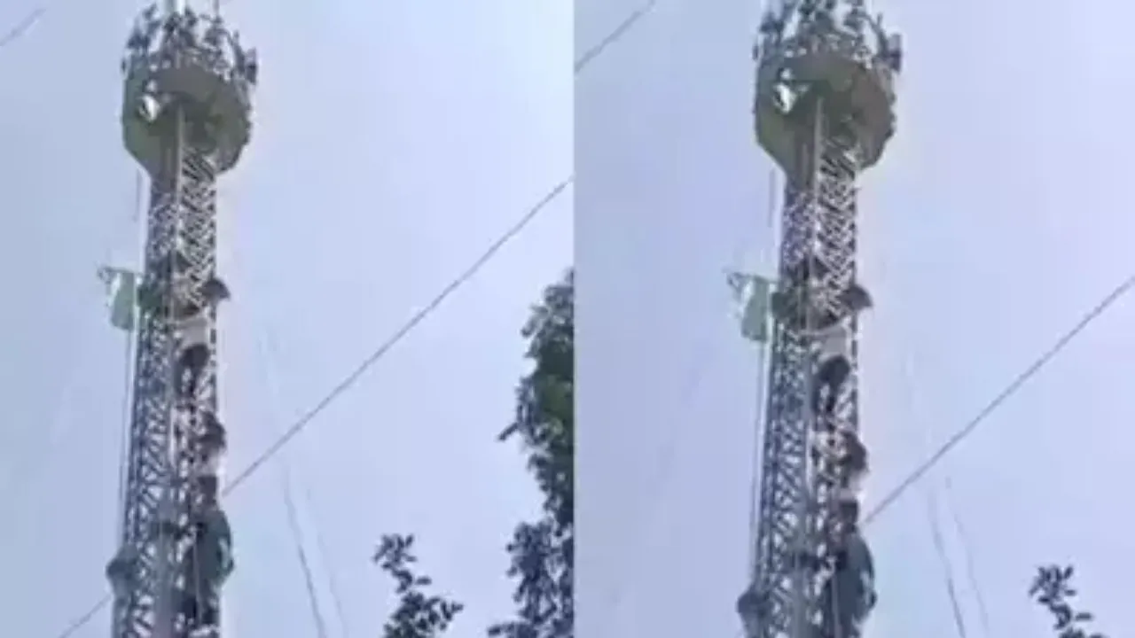 Tamil Nadu farmers climbed atop mobile tower as they protest protest at Delhi's Jantar Mantar over their various demands