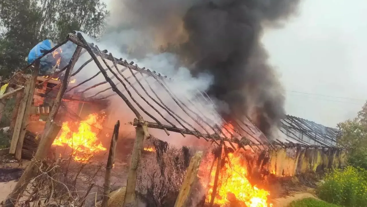 fire burn poultry farm caught on fire