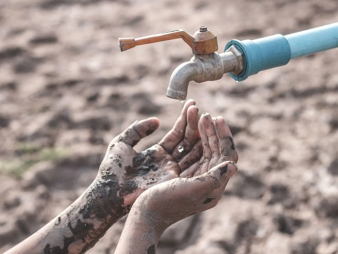 Bengaluru's worst water crisis leaves country's IT capital high and dry