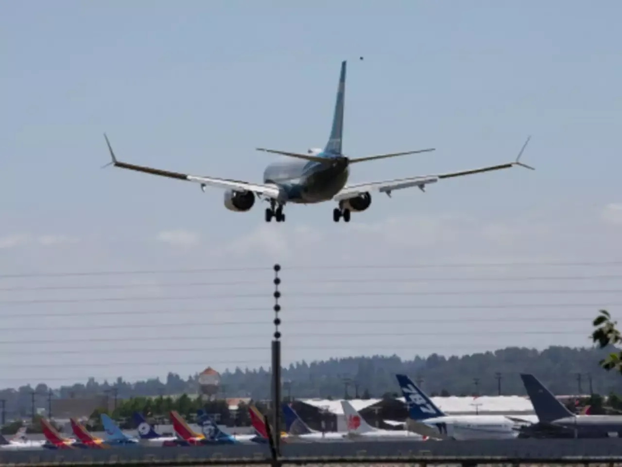 Flight Plane.webp