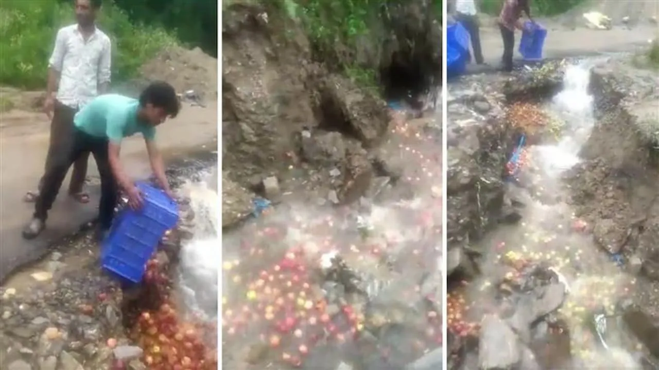 apple growers dumping produce.jpg