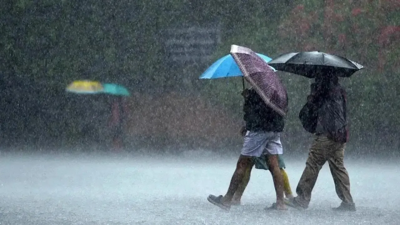 TN receives widespread rain, holiday declared for schools in many districts