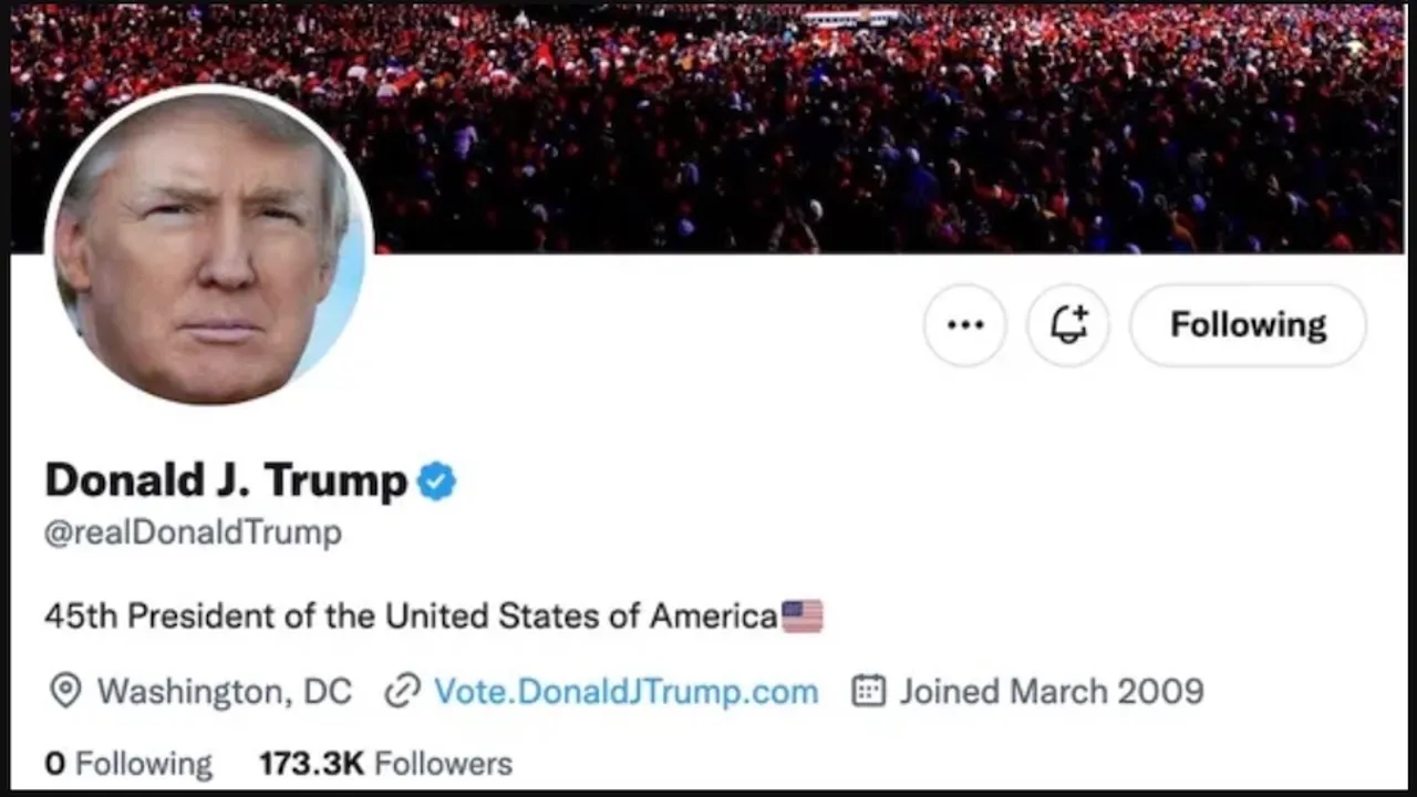 Donald Trump's Twitter account reinstated