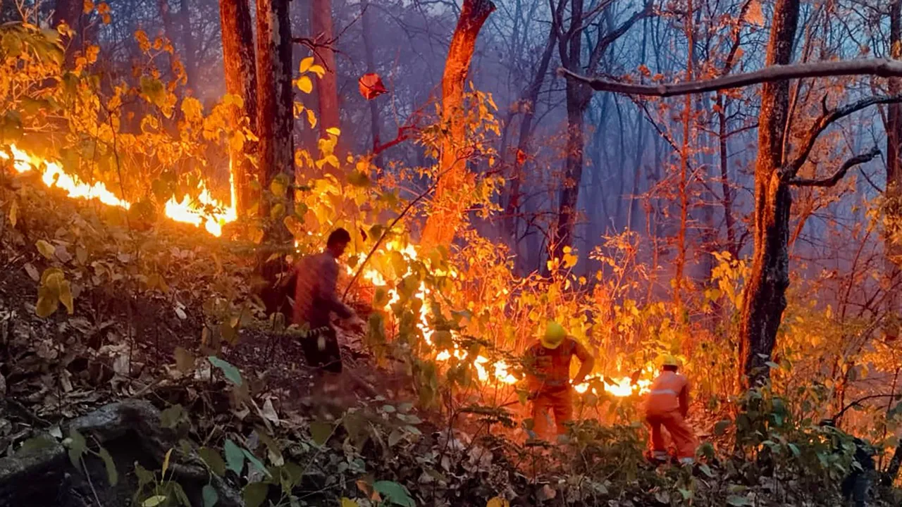 NDRF personnel try to control a fire that broke out in the forest of Nainital district, Monday, April 29, 2024