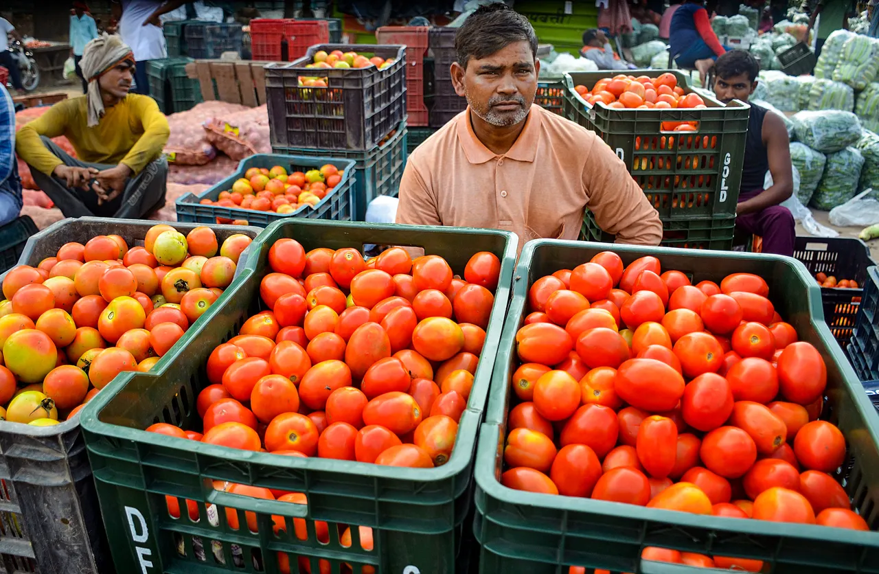 Tomato vendors wait for customers, at a vegetable market